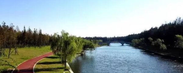 这个社会，对年轻人太好了吗